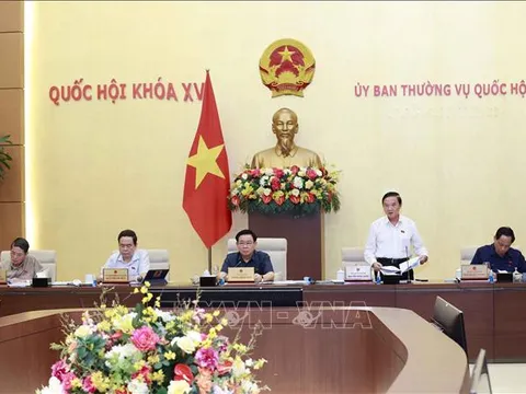 Ủy ban Thường vụ Quốc hội cho ý kiến về dự án Luật Bảo vệ quyền lợi người tiêu dùng (sửa đổi)