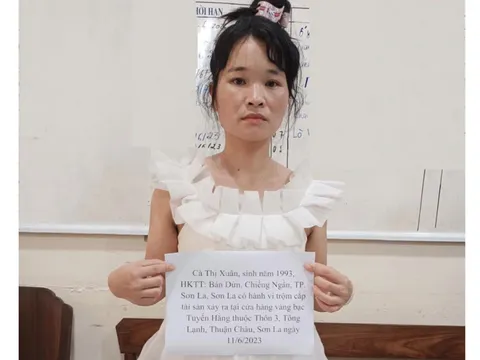 Bắt 'nữ quái' vờ mua vàng để trộm cắp tài sản ở Lạng Sơn