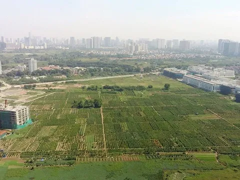 Đất bỏ hoang bao nhiều năm thì mất quyền sử dụng?