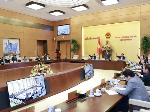 Phân công cơ quan trình, cơ quan chủ trì thẩm tra các dự án thuộc Chương trình xây dựng luật, pháp lệnh