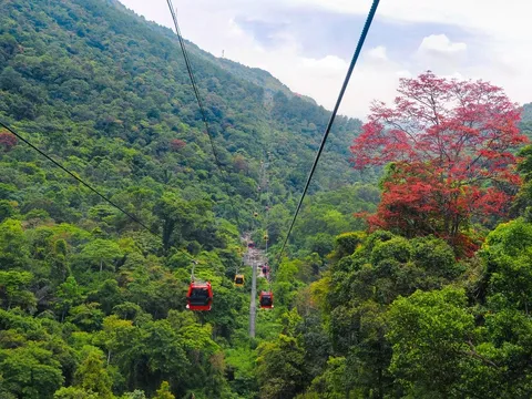 Vĩnh Phúc: Doanh nghiệp cáp treo đồng hành cùng du lịch Tây Thiên tạo đà phục hồi phát triển kinh tế