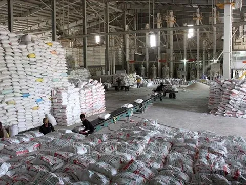 Công điện của Thủ tướng về thúc đẩy sản xuất, xuất khẩu gạo