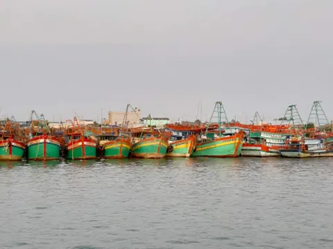 Xử phạt triệt để các hành vi khai thác IUU