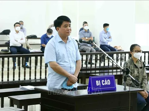 Truy tố cựu Chủ tịch UBND TP Hà Nội Nguyễn Đức Chung trong vụ nâng khống giá cây xanh