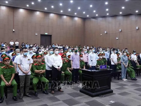 Vụ 'chuyến bay giải cứu': Nhiều bị cáo khai bị ép đưa hối lộ