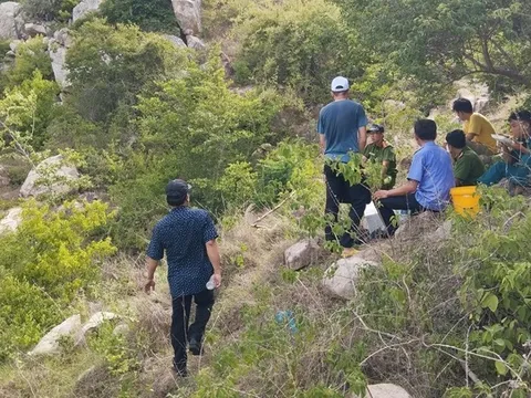 Phát hiện bộ xương người trên núi cao ở Bình Thuận