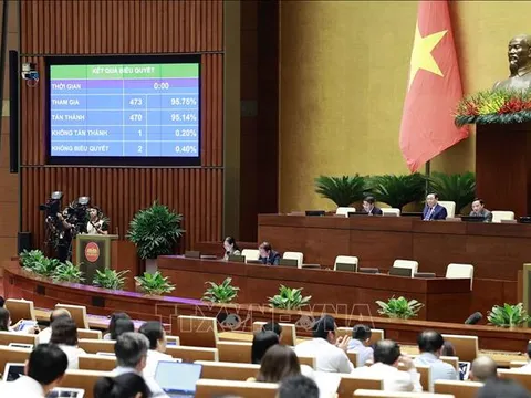 Lá phiếu tín nhiệm và những góc nhìn