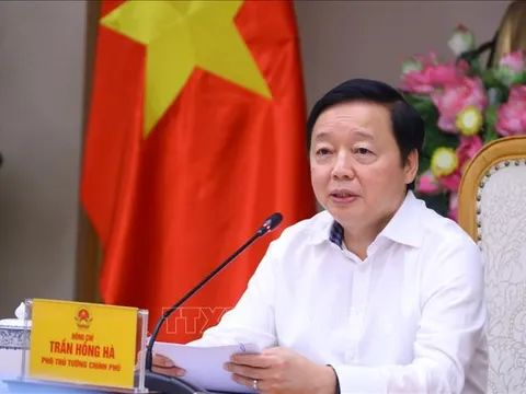 Kiện toàn Ban Chỉ đạo COP26