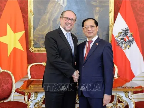 Bộ trưởng Ngoại giao Bùi Thanh Sơn gặp Bộ trưởng Ngoại giao Áo