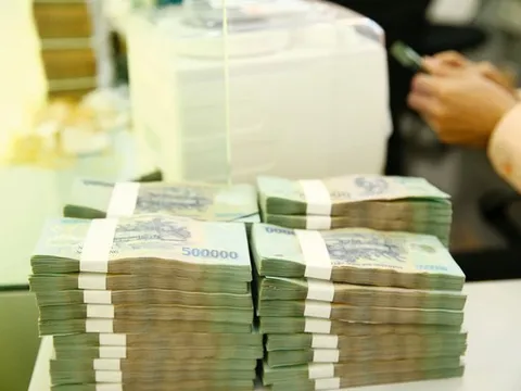 Sử dụng các khoản thu từ hoạt động tư vấn, quản lý dự án nhà nước