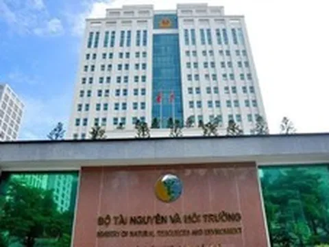 Chỉ đạo, điều hành nổi bật của Chính phủ, Thủ tướng Chính phủ ngày 7/8