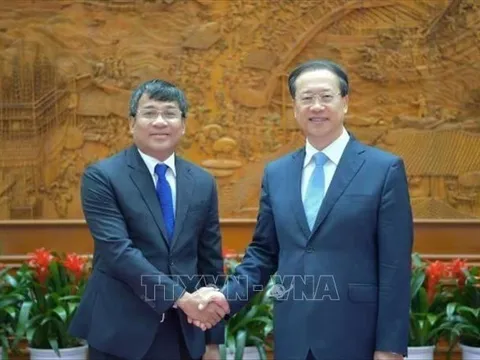 Tăng cường hợp tác giữa hai Bộ Ngoại giao Việt Nam và Trung Quốc