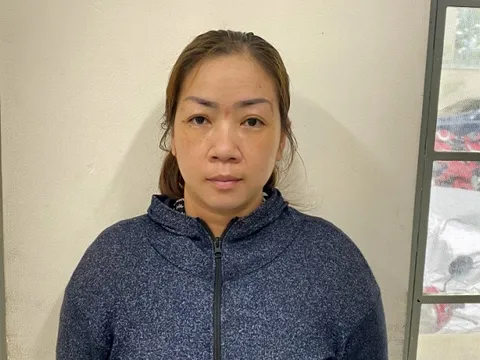 Bắt kẻ cầm đầu đường dây mua bán trẻ sơ sinh