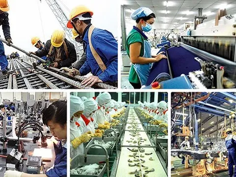 Khẩn trương nghiên cứu, xem xét, xử lý các kiến nghị của doanh nghiệp