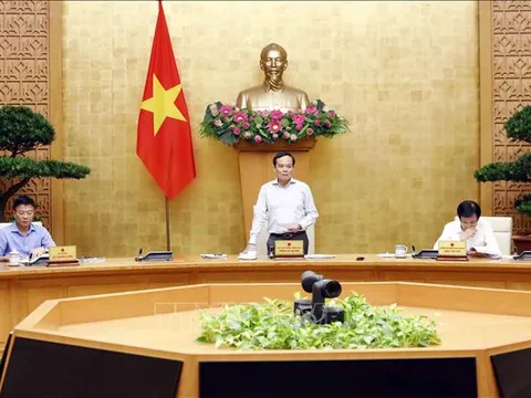 Rà soát hệ thống văn bản quy phạm pháp luật tập trung vào vấn đề lớn, còn đang vướng mắc