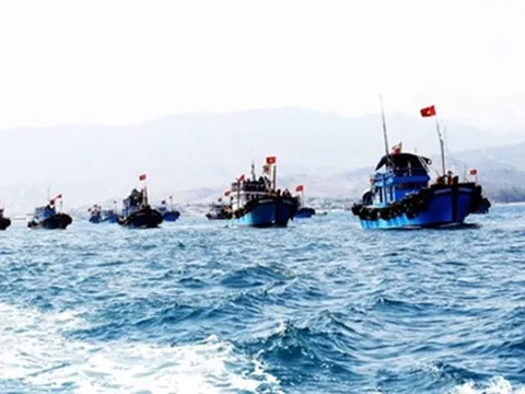 Quyết tâm xử lý dứt điểm vi phạm về khai thác hải sản bất hợp pháp