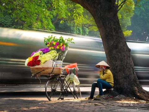 Chuyện những xe hoa trên phố