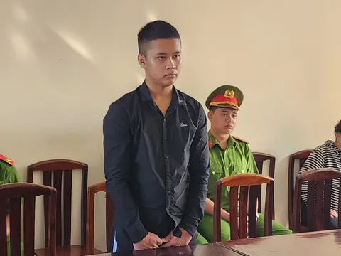 Nam thanh niên lĩnh án tù vì sử dụng bằng lái xe giả gây tai nạn chết người