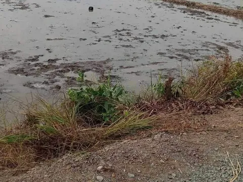 Tranh chấp đất đai, 4 cha con bị chém trọng thương