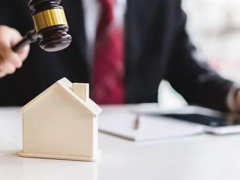 Những loại tài sản được đưa ra đấu giá