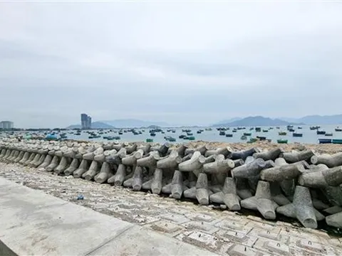 Hoàn thiện Đề án tổng kết Nghị quyết 24-NQ/TW