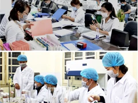 Người có tài năng là CBCCVC được hưởng những chính sách trọng dụng nào?