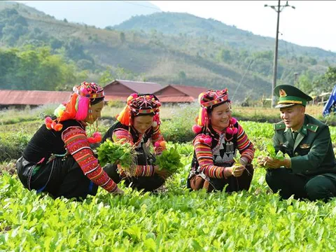 Bổ sung dự toán chi đầu tư phát triển, kế hoạch đầu tư vốn các chương trình mục tiêu quốc gia