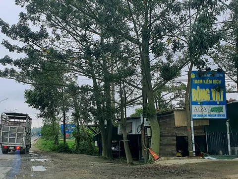 Bắt hai nhân viên trạm kiểm dịch vòi tiền chủ xe tải chở lợn ở Hà Tĩnh