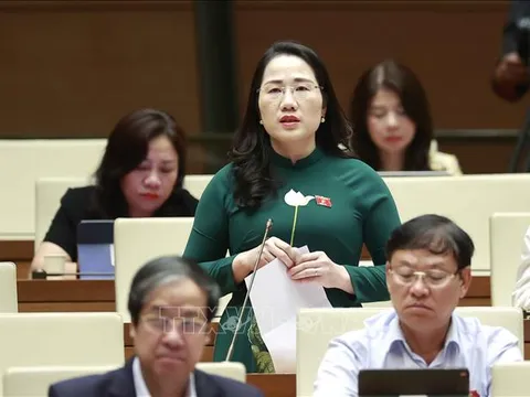 Cần thể chế hóa đúng, đủ về chính sách đất đai đối với đồng bào dân tộc thiểu số, miền núi