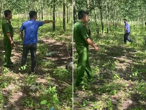 Bình Phước: Anh em ruột đánh nhau thương vong vì mâu thuẫn cạo mủ cao su