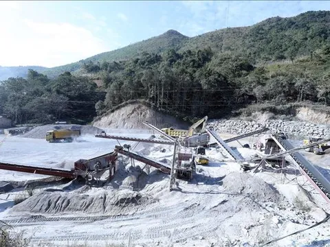 Lũng đoạn đấu giá - chưa có hồi kết nếu thiếu chế tài mạnh