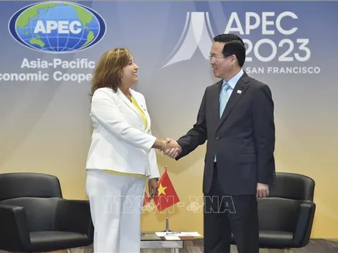 Chủ tịch nước Võ Văn Thưởng gặp Tổng thống Peru, khẳng định tăng cường hợp tác