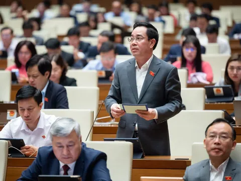 Kiến nghị bổ sung dạy thêm, học thêm vào danh mục ngành nghề kinh doanh có điều kiện