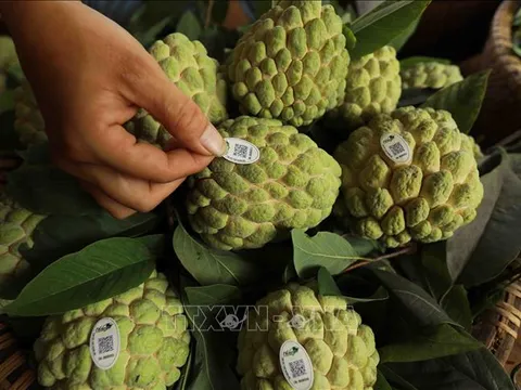 Sửa đổi Luật Chất lượng sản phẩm hàng hóa đảm bảo phù hợp thực tiễn