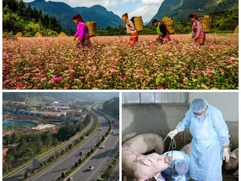 Chỉ đạo, điều hành của Chính phủ, Thủ tướng Chính phủ nổi bật tuần từ 13-17/11/2023