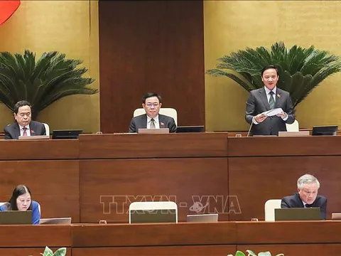 Ngày 23/11, Quốc hội thảo luận về 2 dự án sửa đổi Luật BHXH và Luật Các tổ chức tín dụng