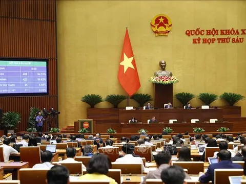 Kỳ họp thứ 6, Quốc hội khóa XV: Ngành Lưu trữ phải đẩy mạnh chuyển đổi số