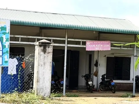 Đắk Lắk: Cán bộ kiểm lâm tử vong trong rừng, trên người có vết đạn