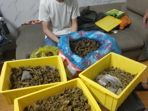 Bắt quả tang đối tượng mua cần sa trên mạng về bán kiếm lời