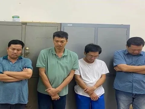 Đồng Nai: Khởi tố giám đốc công ty tổ chức khai thác đất trái phép