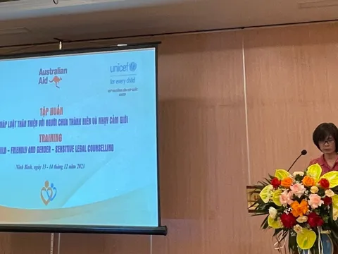 Nâng cao năng lực tư vấn pháp luật thân thiện với người chưa thành niên và nhạy cảm giới