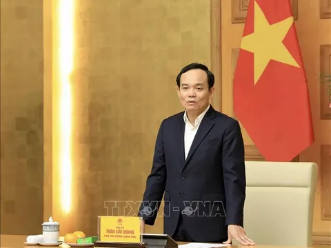 Quy chế hoạt động của Ban Chỉ đạo thực hiện sắp xếp đơn vị hành chính cấp huyện, cấp xã