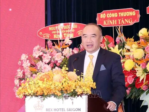 Kết nối doanh nhân Việt Nam ở nước ngoài vì sự phát triển đất nước