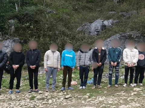 Bắt nhóm đối tượng lên kế hoạch bắt cóc người nước ngoài rồi tống tiền