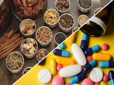 Đề xuất tiêu chí xem xét bổ sung mới thuốc dược liệu trong danh mục