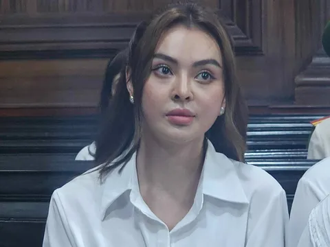 Tòa không chấp nhận đơn xin hoãn thi hành án phạt tù của Trang Nemo