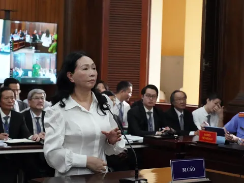 Trương Mỹ Lan sử dụng tiền chiếm đoạt được vào mục đích gì?