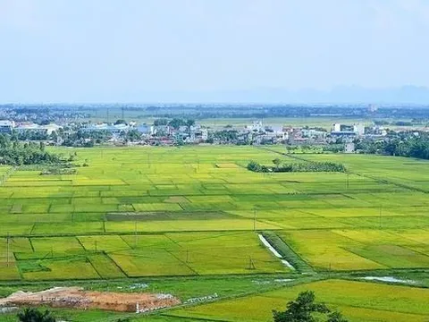 Các trường hợp thực hiện góp quyền sử dụng đất, điều chỉnh lại đất đai