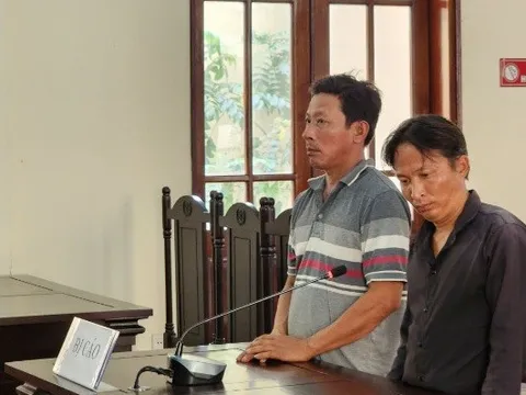 Tiền Giang: Khai thác cát trái phép, 2 đối tượng bị phạt tù