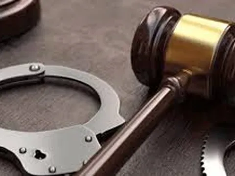 Khởi tố Giám đốc Công ty Thương mại và du lịch Bắc Á